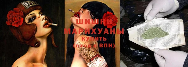 прущие грибы Лихославль