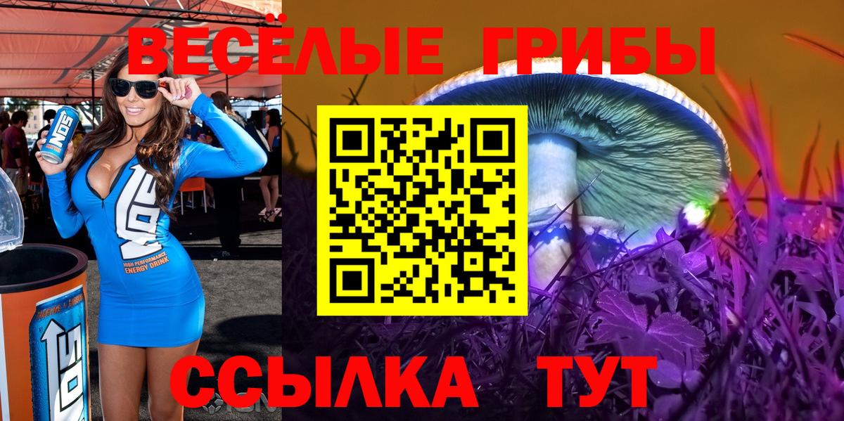 Галлюциногенные грибы GOLDEN TEACHER Иваново